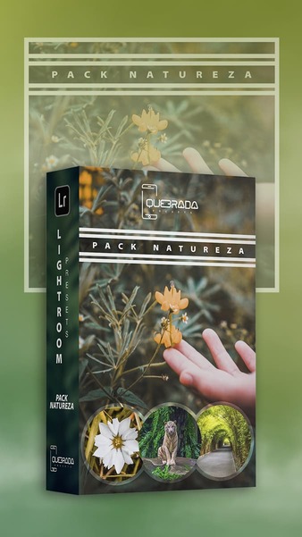 Modelo Presets Lightroom 9